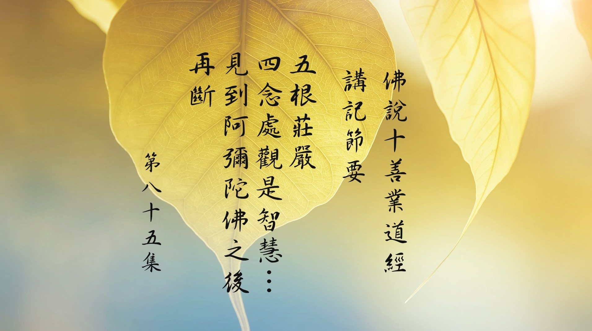 四念處觀是智慧｜佛說十善業道經講記節要第81‒85集｜悟道法師主講- 台北靈巖山寺雙溪小築